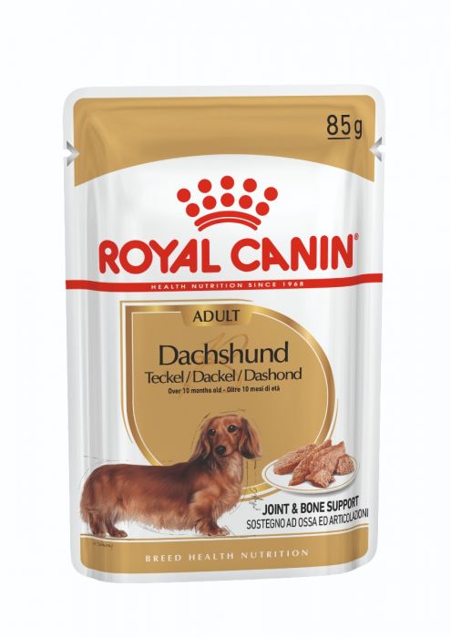 Royal Canin Adult Dachsund 85g